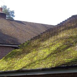 moss removal services near me in Cheltenham